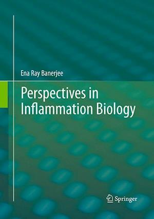 Perspectives in Inflammation Biology