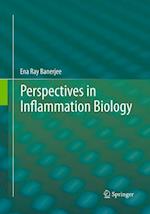 Perspectives in Inflammation Biology