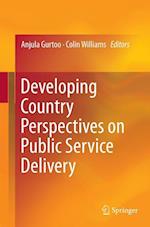 Developing Country Perspectives on Public Service Delivery