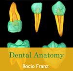 Dental Anatomy