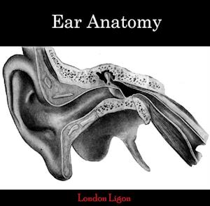 Ear Anatomy