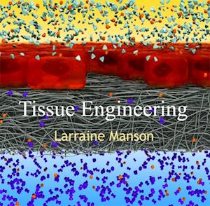 Tissue Engineering