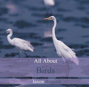 All About Birds