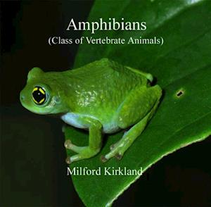 Amphibians (Class of Vertebrate Animals)