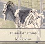 Animal Anatomy