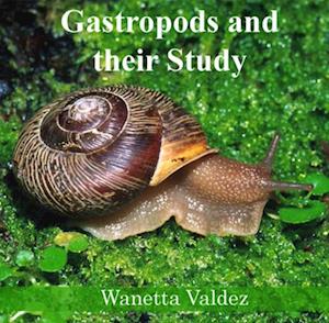 Gastropods and their Study