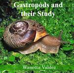 Gastropods and their Study