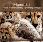Mammals (class of air-breathing vertebrate animals)