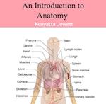 Introduction to  Anatomy, An