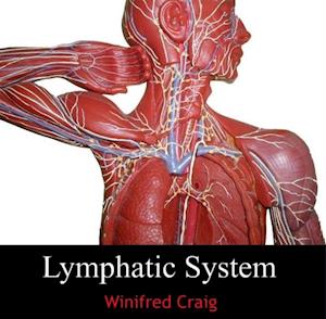 Lymphatic System