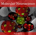 Molecular Neuroscience