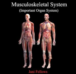 Musculoskeletal System (Important Organ System)