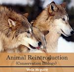 Animal Reintroduction (Conservation Biology)