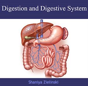 Digestion and Digestive System