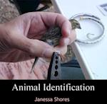 Animal Identification