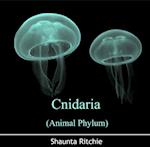Cnidaria (Animal Phylum)