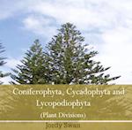Coniferophyta, Cycadophyta and Lycopodiophyta (Plant Divisions)