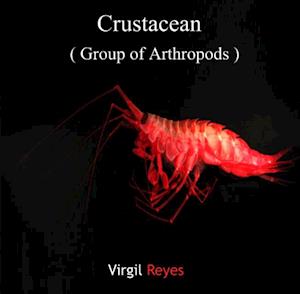 Crustacean (Group of Arthropods)