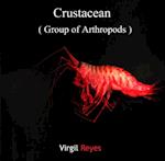 Crustacean (Group of Arthropods)