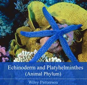 Echinoderm and Platyhelminthes (Animal Phylum)