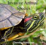 Invasive Animal Species