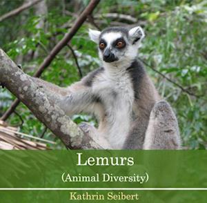 Lemurs (Animal Diversity)