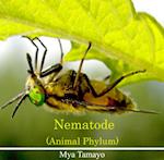 Nematode (Animal Phylum)