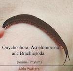 Onychophora, Acoelomorpha and Brachiopoda (Animal Phylum)