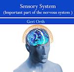 Sensory System (Important part of the nervous system)