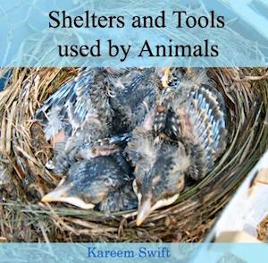 Shelters and Tools used by Animals