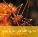 Subphylums of Arthropoda