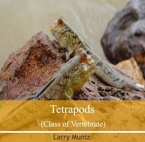 Tetrapods (Class of Vertebrate)