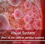Visual System (Part of the central nervous system)