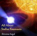 All About Stellar Remnants