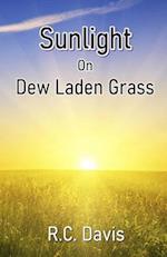 Sunlight On Dew Laden Grass 