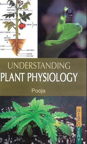 UNDERSTANDING  PLANT PHYSIOLOGY