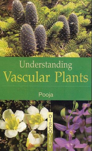 UNDERSTANDING  VASCULAR PLANTS