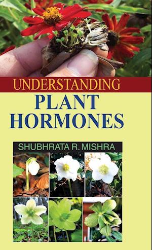 UNDERSTANDING PLANT HORMONES