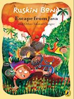 Escape from Java and other Tales of Danger