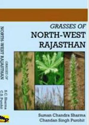 Grasses of North-West Rajasthan