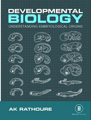 Developmental Biology (Understanding The Embryological Origins)