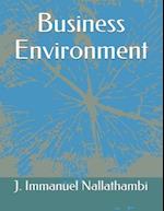 Business Environment 