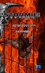 Stormie!: An 18+ book 
