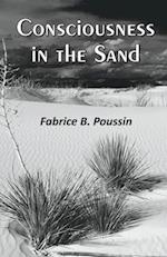 Consciousness in the Sand 