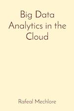 Big Data Analytics in the Cloud 