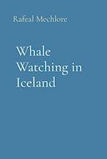 Whale Watching in Iceland 