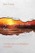 Spotlight on the Sea