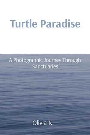 Turtle Paradise