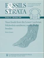 Trace Fossils from the Lower Cambrian Mickwitzia Sandstone, South–Central Sweden