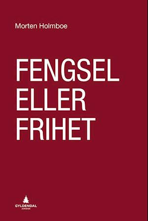 Fengsel eller frihet : om teori og praksis i norsk straffutmåling